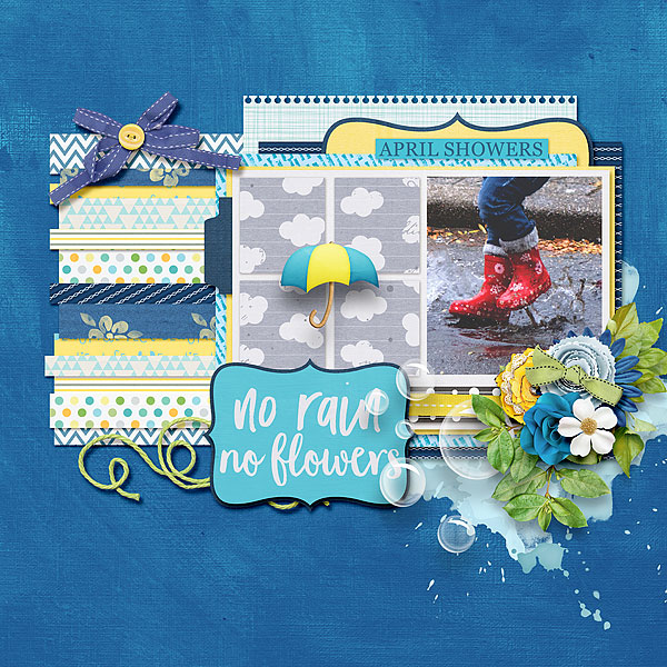 No Rain No Flowers