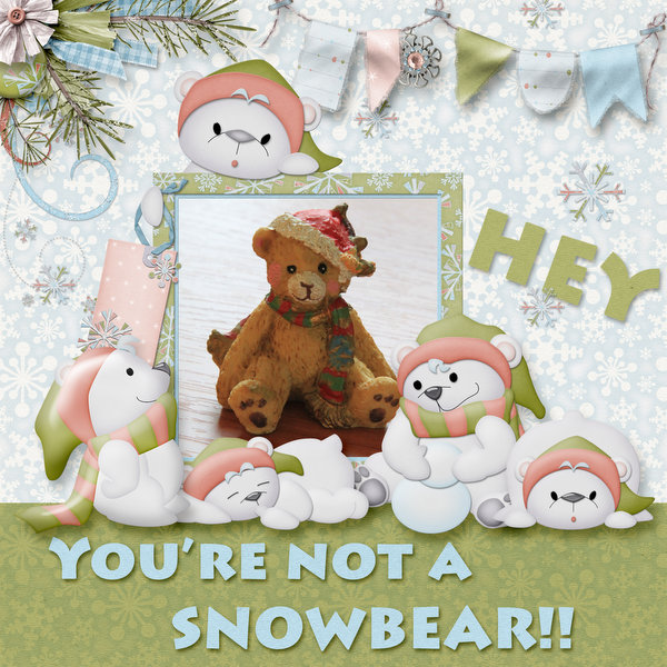 No snow bear