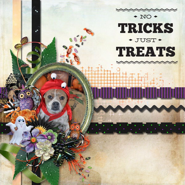 No Tricks Just Treats