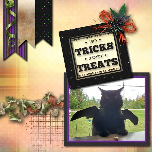 No Tricks