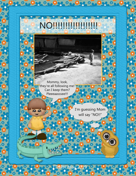 NO!!!!