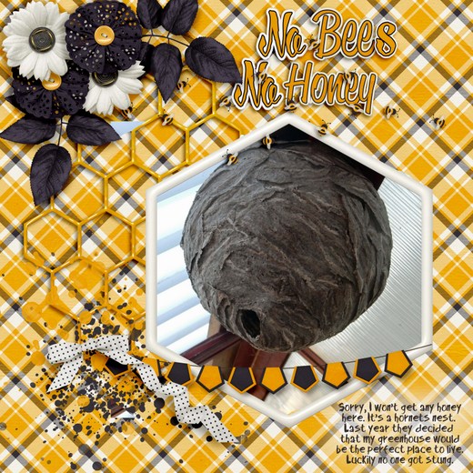 No_bees_no_honey