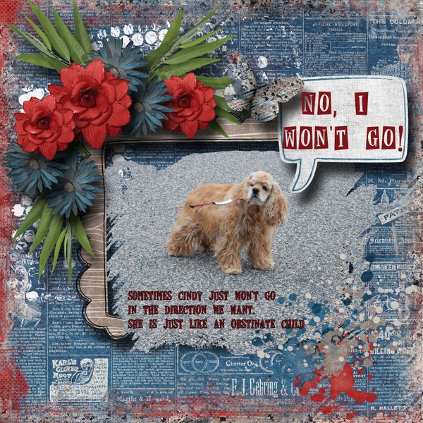 No_I_won_t_go