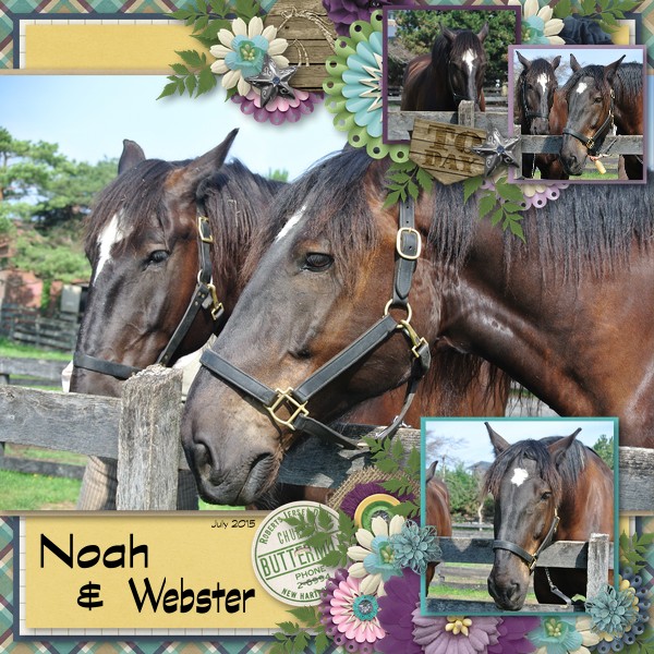 Noah + Webster