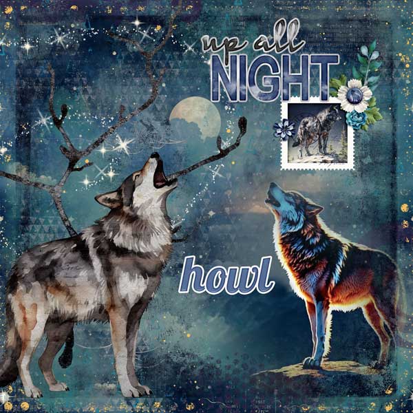 nocturnal-creatures-2--aime
