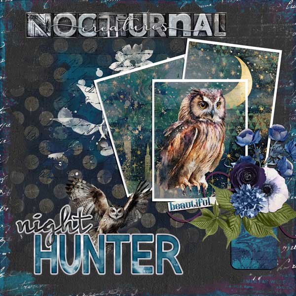 nocturnal-creatures-aimee-h
