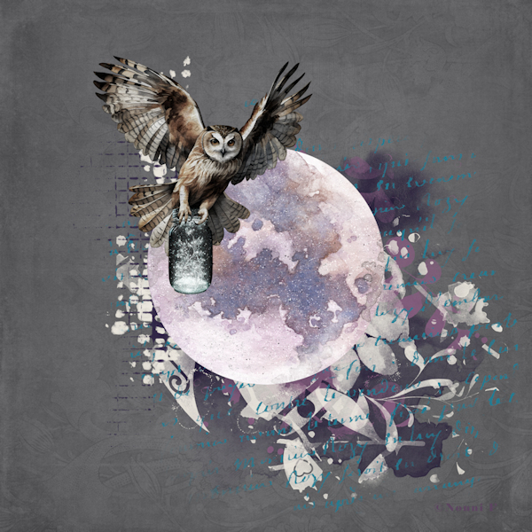 NOCTURNAL FLIGHT