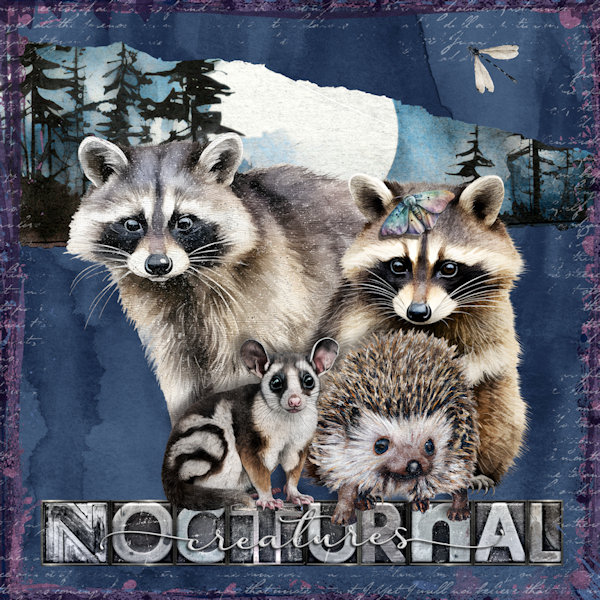 NOCTURNAL FRIENDS