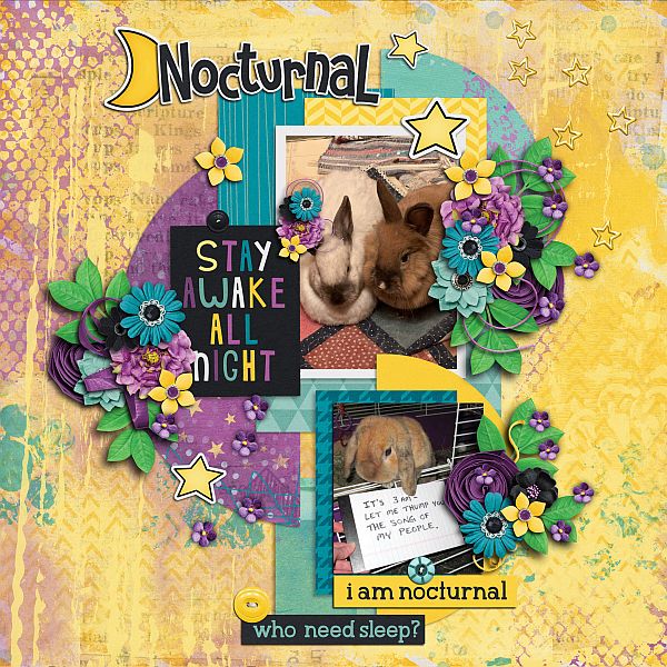 Nocturnal