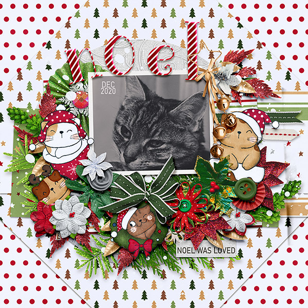 Noel