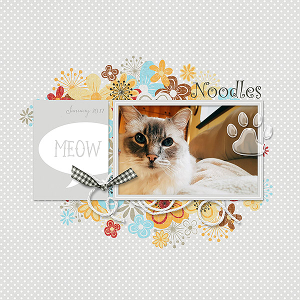 Noodles the Cat