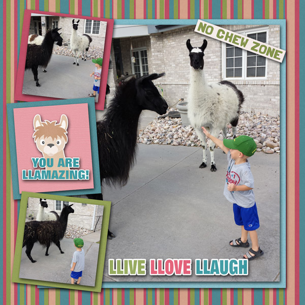 noprobllama_2_MFish_LotsaPhotos4_1