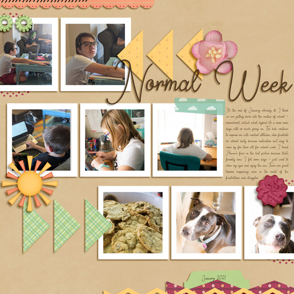 Normal Week