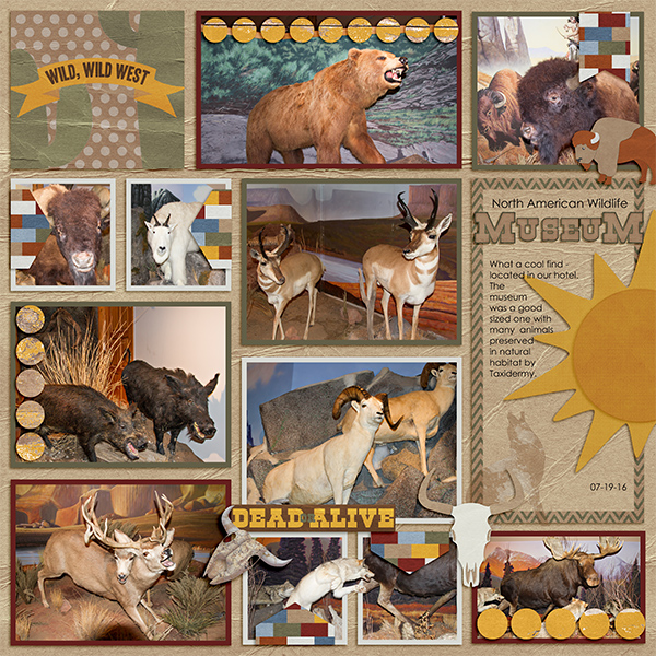 North American Wildlife Museum_L