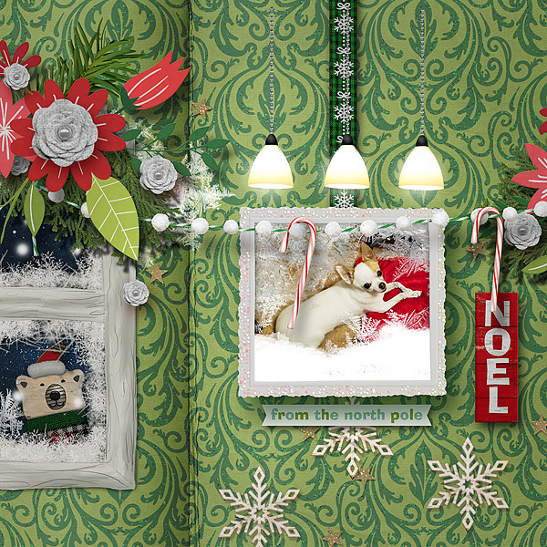 North Pole