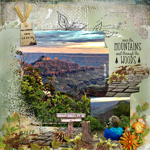 North Rim- Grand Canyon