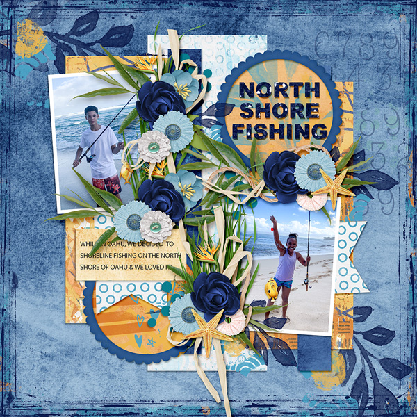 North Shore Fishing