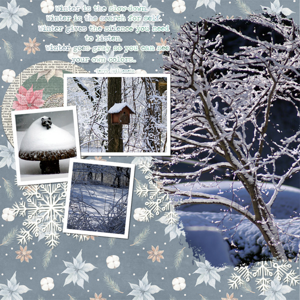Northeast Winter
