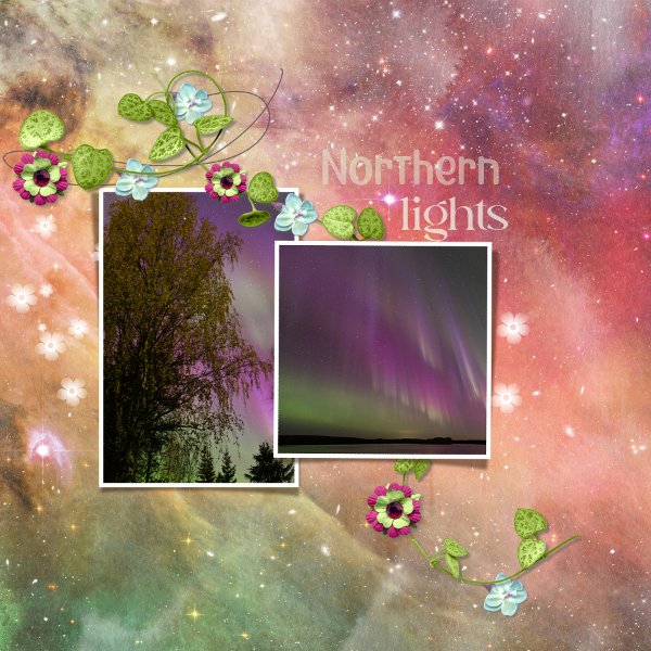 northern lights.jpg