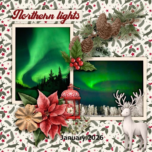 Northern-lights.jpg