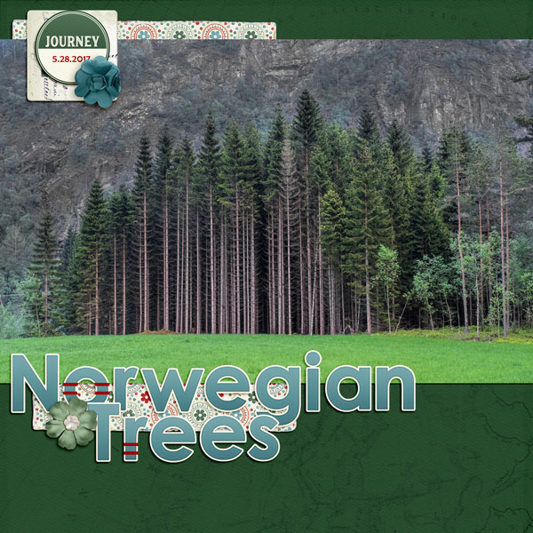 Norwegian Trees