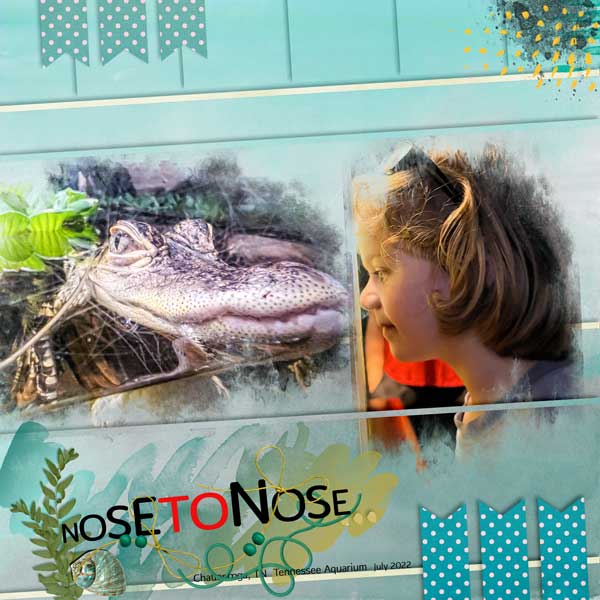 Nose To Nose