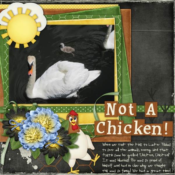 Not A Chicken!