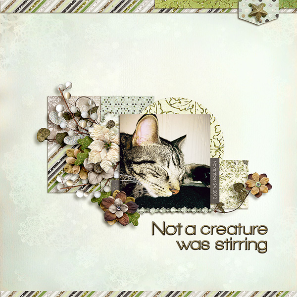 Not a Creature was stirring