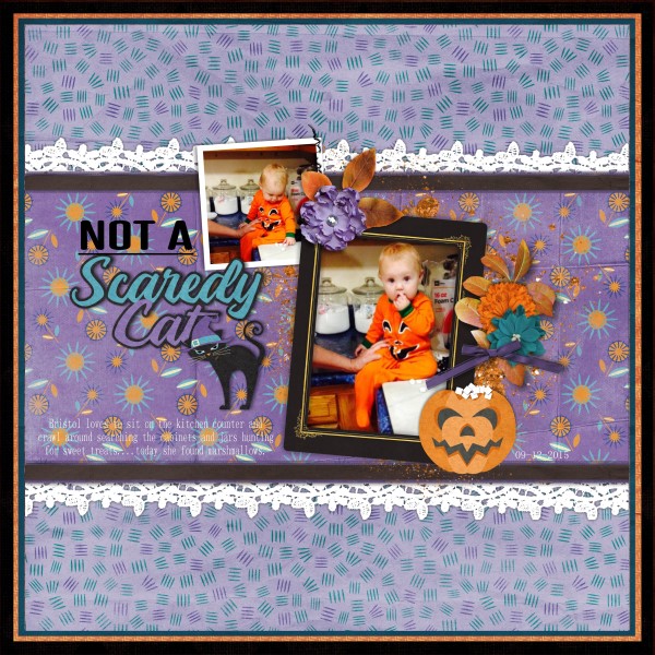 Not A Scaredy Cat