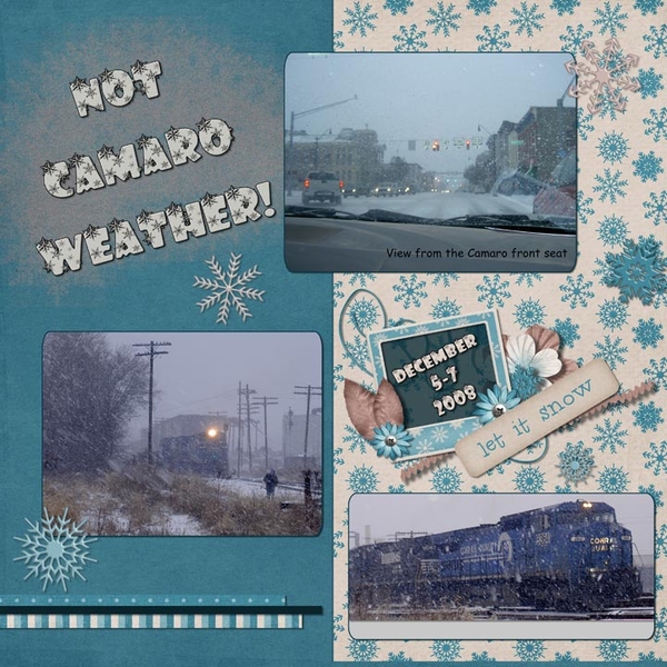 Not Camaro Weather!