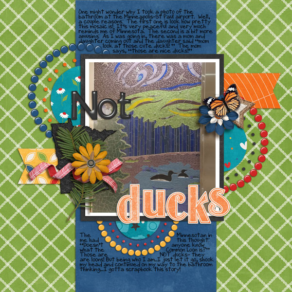 not ducks