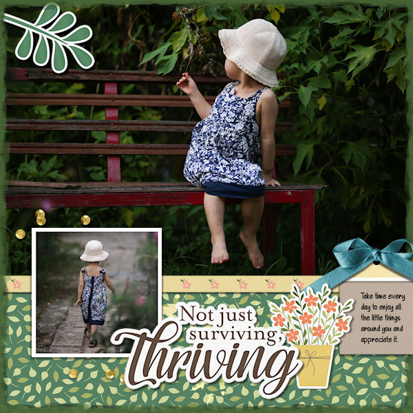 Not Just Surviving Thriving
