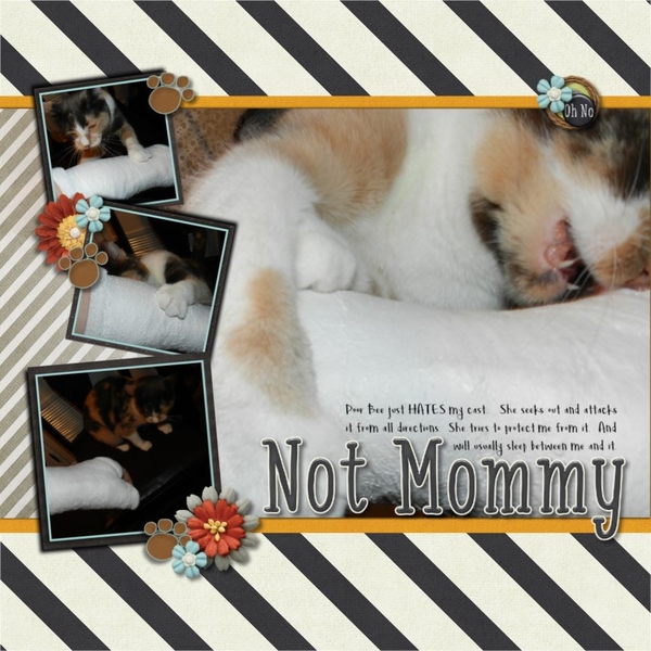 Not Mommy
