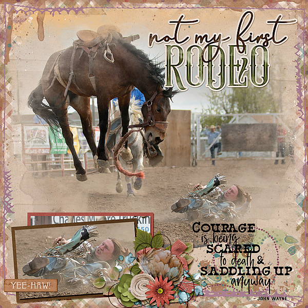 Not My First Rodeo