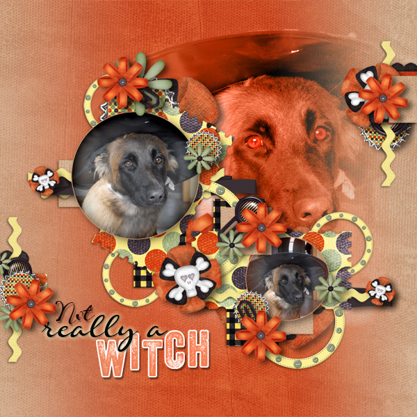 Not really a witch