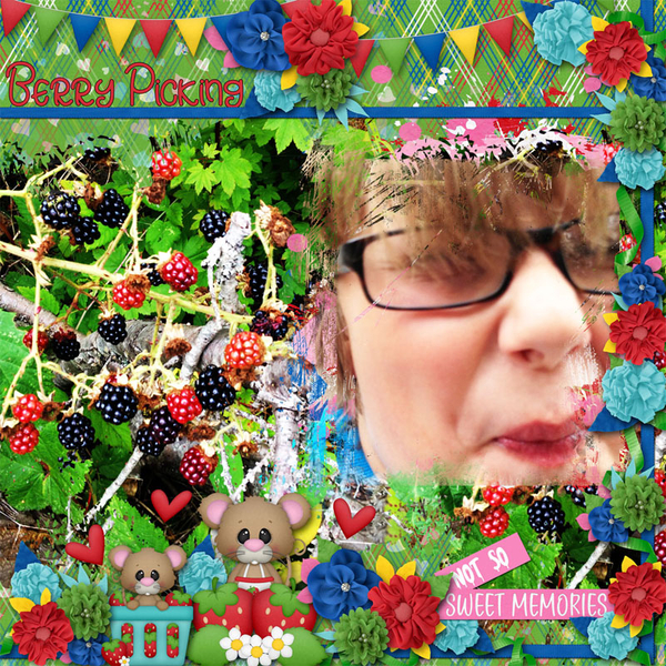 Not So Berry Sweet