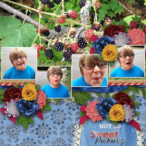 Not So Berry Sweet