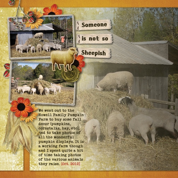 Not so Sheepish