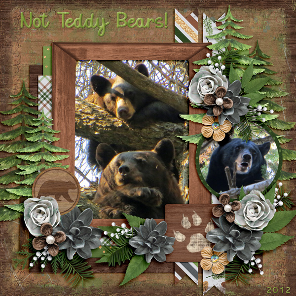 Not Teddy Bears