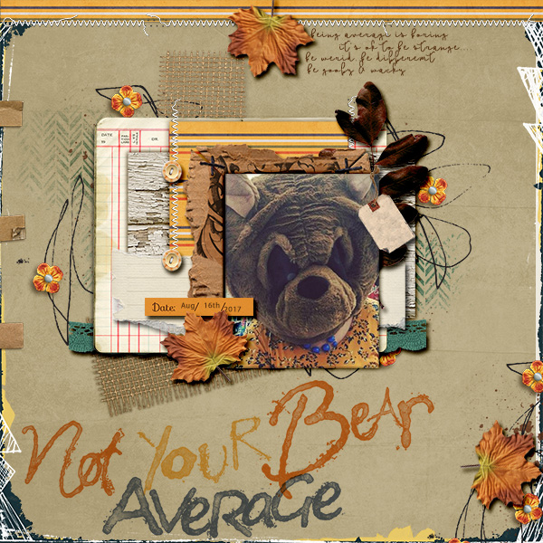 Not Your Average Bear