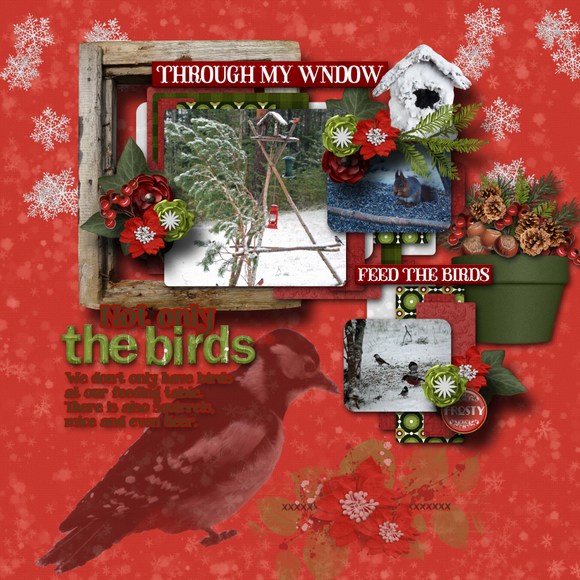 Not_only_the_birds