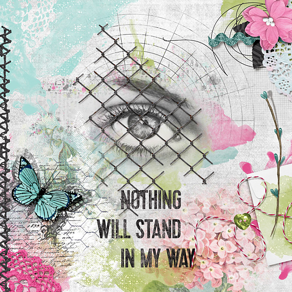 Nothing will stand in my way