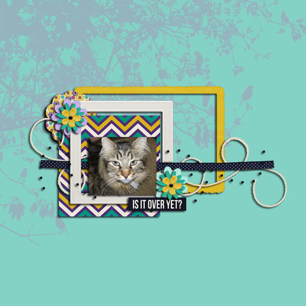 Nov 2015 Mini Kit Challenge