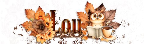Nov 2025 Siggy