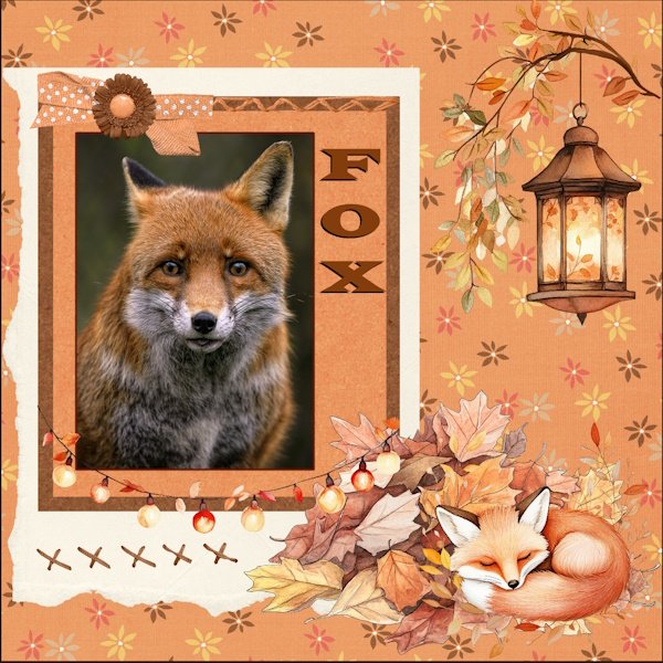 Nov. 2025 Surprise Challenge-FOX.jpg