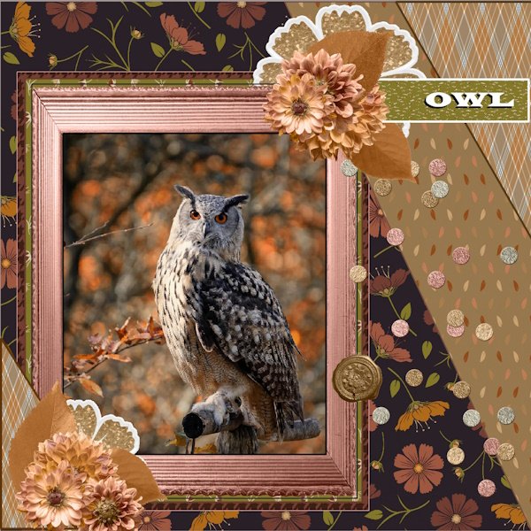 Nov.2025 Template 3 # Challenge-OWL.jpg