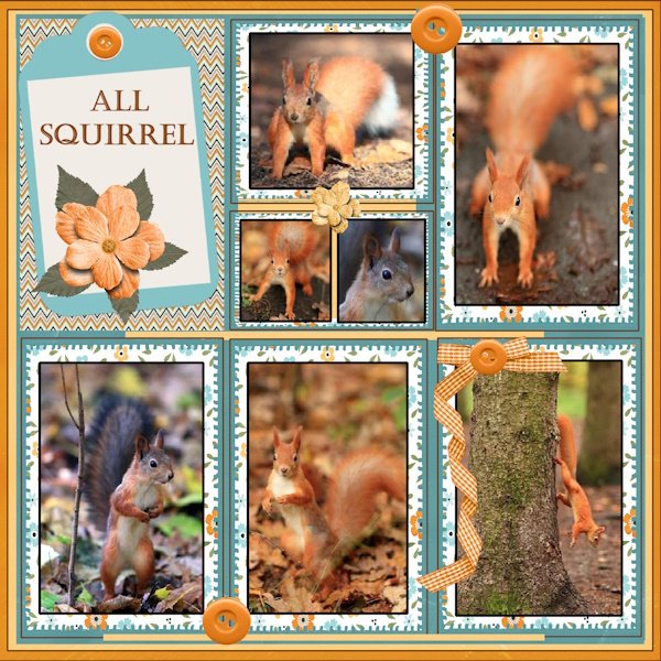 Nov. 2025 Template Challenge #1 -All squirrel.jpg