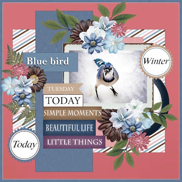 Nov.2025 Template Challenge #2-Winter bird.jpg