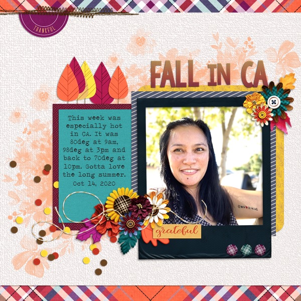 Nov Brush Challenge