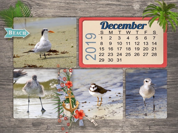 Nov Desktop Challenge